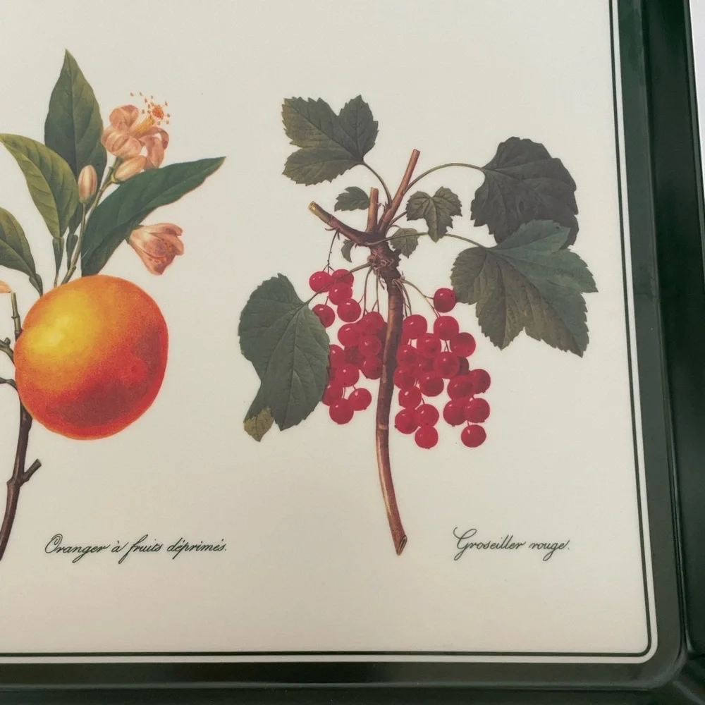 Vintage Mebel PJ Redoute Artist Fruit Motif Italian Melamine Tray